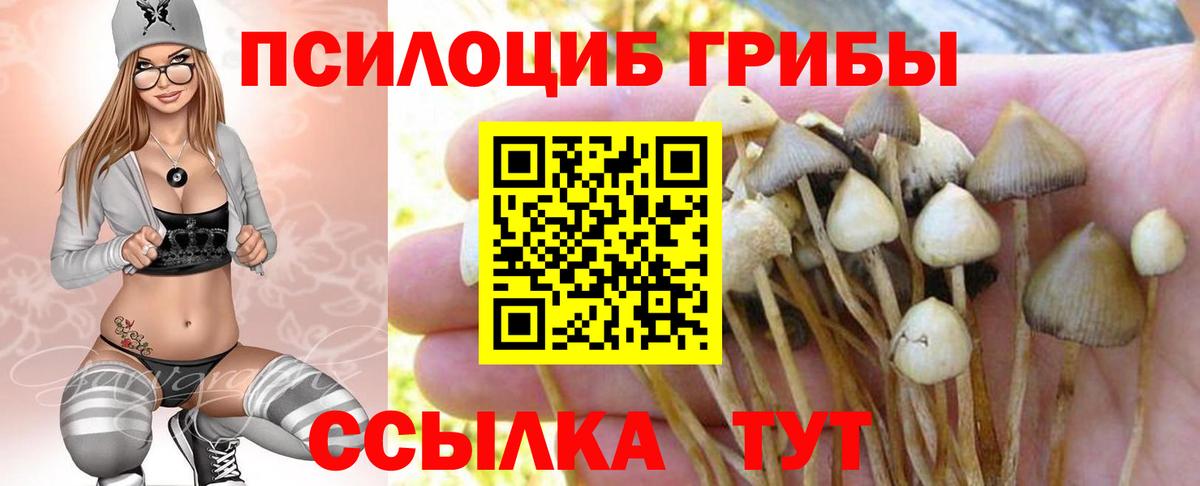 Галлюциногенные грибы Cubensis  Вход с VPN  Псилоцибиновые грибы MAGIC MUSHROOMS  где найти наркотики  Реутов 